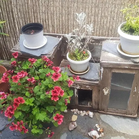 Antique Gasthuis